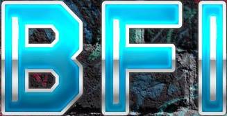 logo Belarussian Fockin Idiots